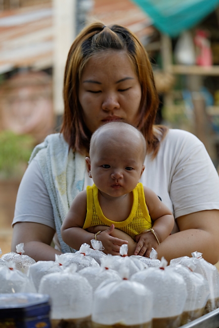 Famille & amis-JUN14-095